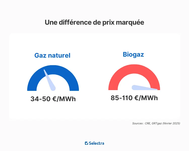 biogaz vs gaz naturel