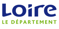 Carte du d&eacute;partement Loire
