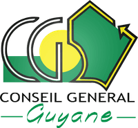 Carte du d&eacute;partement Guyane