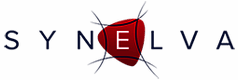 Logo Synelva